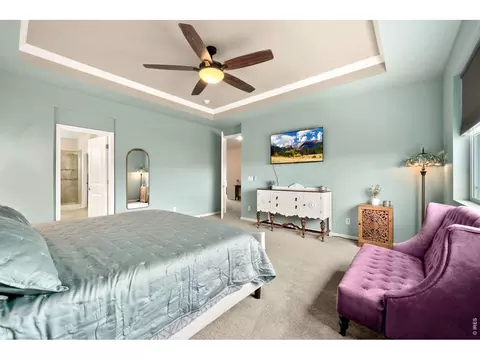Bedroom - 6101 Chesney Ct, Windsor, CO 80550 photo 8 of 8