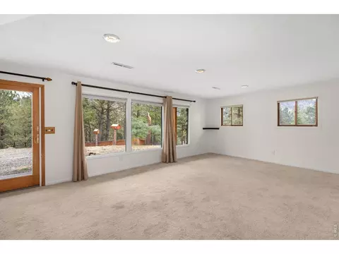 Living - 42 Ottawa Ct, Lyons, CO 80540 photo 7 of 9