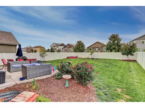 1832 Ruddlesway Dr, Windsor, CO 80550