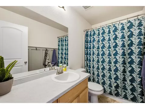 Bath - 1662 Thrive Dr, Windsor, CO 80550 photo 3 of 3