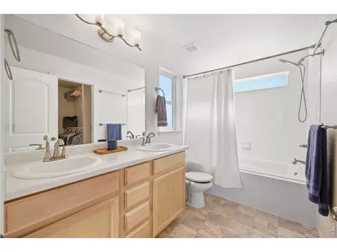Bath - 1662 Thrive Dr, Windsor, CO 80550 photo 2 of 3