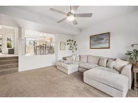 Living - 1662 Thrive Dr, Windsor, CO 80550 photo 3 of 4