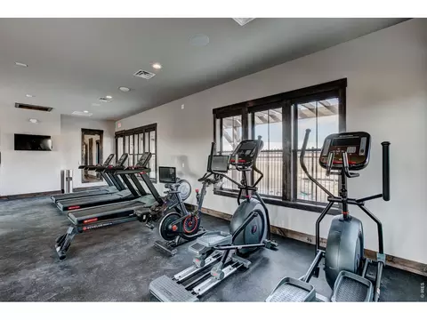 Other - 6226 Vernazza Way #4, Windsor, CO 80550 photo 8 of 12
