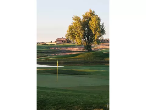 Other - 6226 Vernazza Way #4, Windsor, CO 80550 photo 11 of 12