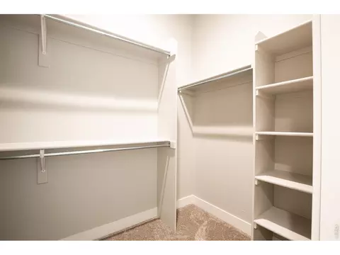 Other - 6226 Vernazza Way #4, Windsor, CO 80550 photo 4 of 12