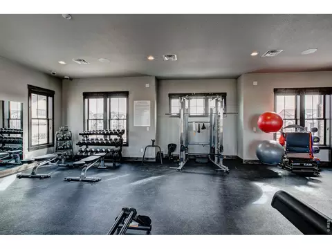 Other - 6226 Vernazza Way #4, Windsor, CO 80550 photo 9 of 12
