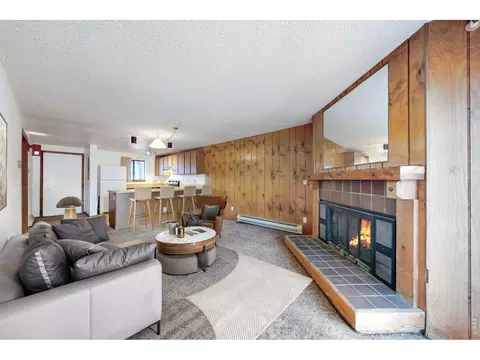 1730 Raven Ave #A-1, Estes Park, CO 80517