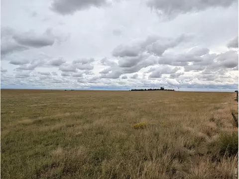 Hwy 94, Rush, CO 80833 photo 3