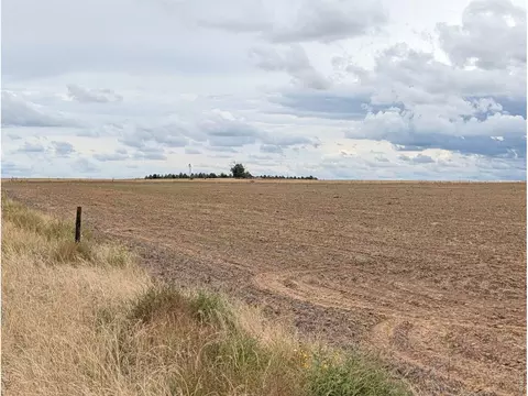 Hwy 94, Rush, CO 80833 photo 8