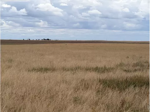 Hwy 94, Rush, CO 80833 photo 7