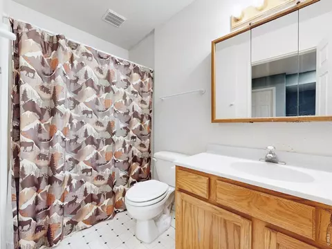 Bath - 503 Broadview Dr, Severance, CO 80550 photo 4 of 4