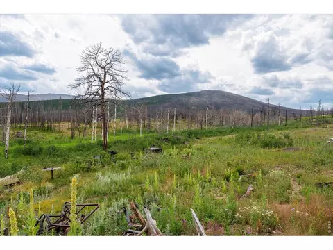 529 Quartz Rd, Bellvue, CO 80512