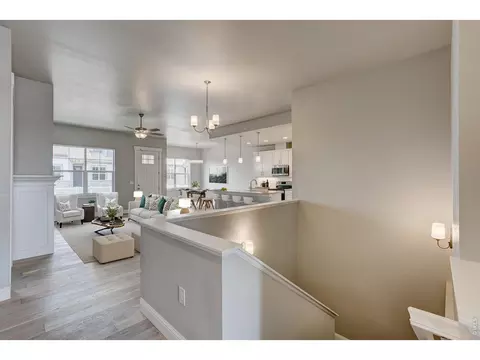 Entry Way - 8452 Cromwell Dr #3, Windsor, CO 80528 photo 1 of 1