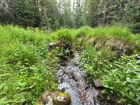 1070 Pearl Creek Rd, Red Feather Lakes, CO 80545
