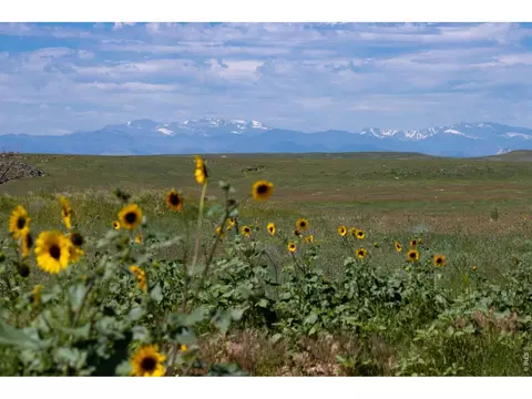 6 Tbd County Road 122, Carr, CO 80612 photo 6