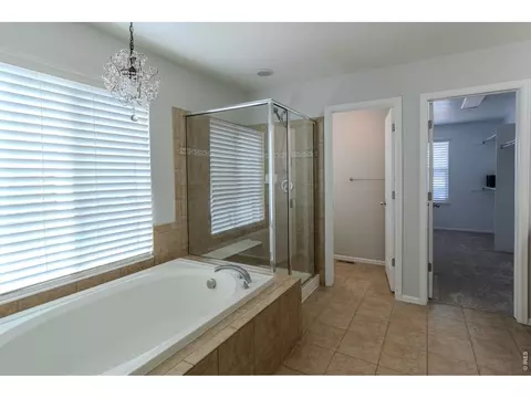 Bath - 1667 Kelmsley Ct, Windsor, CO 80550 photo 4 of 4