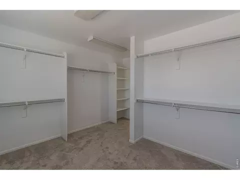 Other - 1667 Kelmsley Ct, Windsor, CO 80550 photo 8 of 11