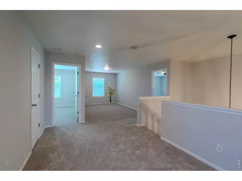 Living - 1667 Kelmsley Ct, Windsor, CO 80550 photo 4 of 4