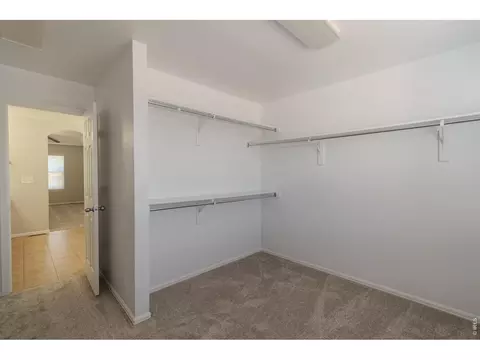 Other - 1667 Kelmsley Ct, Windsor, CO 80550 photo 6 of 11