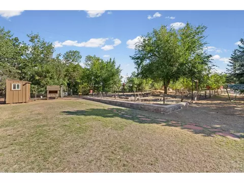 Exterior - 6655 Rodney St, Windsor, CO 80550 photo 8 of 11