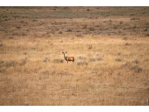 0 Cr 90 140 Ac, Ault, CO 80610 photo 6
