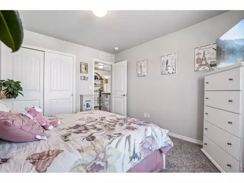 Bedroom - 4988 Priors Dr, Windsor, CO 80550 photo 7 of 7