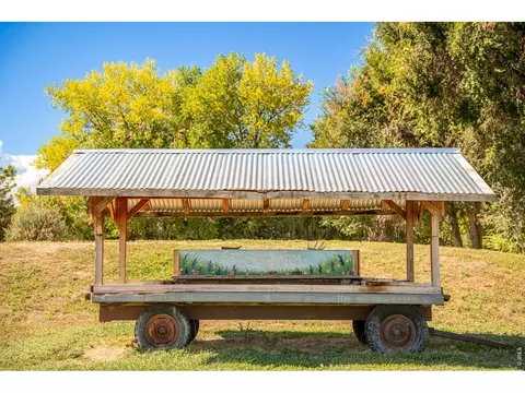 3796 63rd St, Boulder, CO 80301 photo 15
