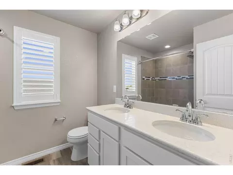 Bath - 1555 Corby Dr, Windsor, CO 80550 photo 5 of 6