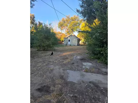 Exterior - 205 S Curtis St, Brush, CO 80723 photo 6 of 7