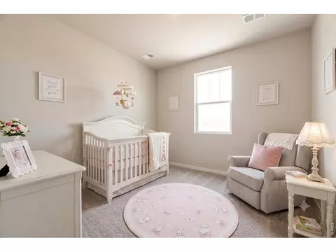 Bedroom - 330 Rustic Barn Ln, Berthoud, CO 80513 photo 3 of 4