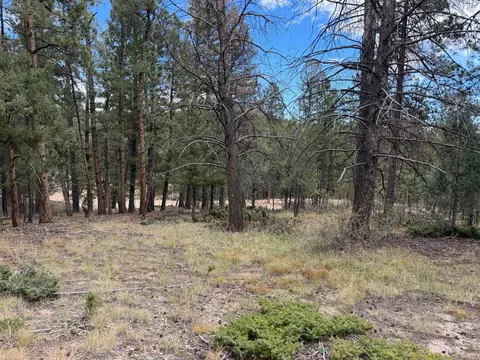0 Toboggan Rd, Pine, CO 80470 photo 4