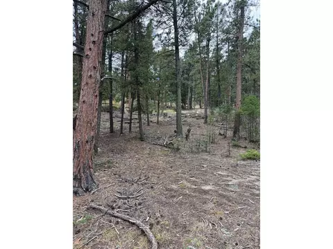 0 Toboggan Rd, Pine, CO 80470 photo 7