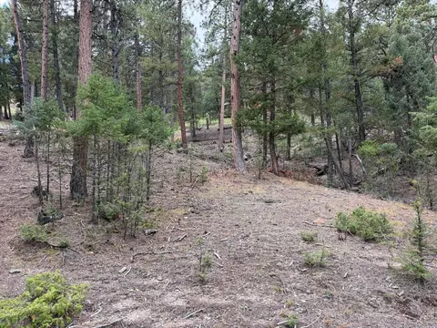 0 Toboggan Rd, Pine, CO 80470 photo 8