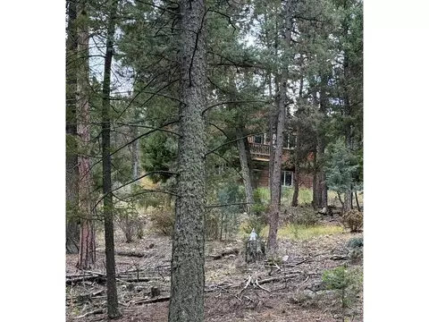 0 Toboggan Rd, Pine, CO 80470 photo 5