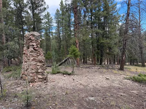 0 Toboggan Rd, Pine, CO 80470 photo 9
