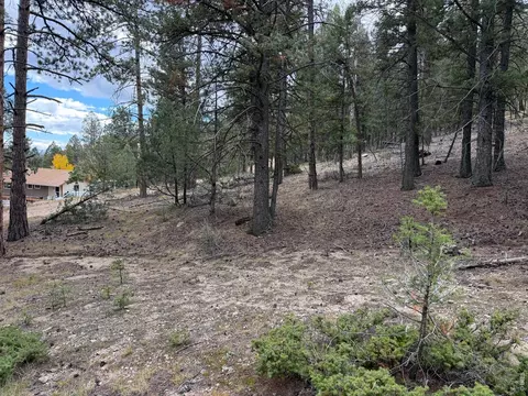 0 Toboggan Rd, Pine, CO 80470 photo 3
