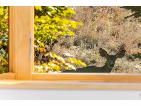 Other - 1016 Horizon Dr, Lyons, CO 80540 photo 9 of 9