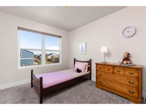 Bedroom - 103 Lemonade Dr, Berthoud, CO 80513 photo 3 of 4