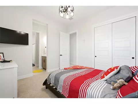 Bedroom - 1702 Branching Canopy Dr, Windsor, CO 80550 photo 4 of 5