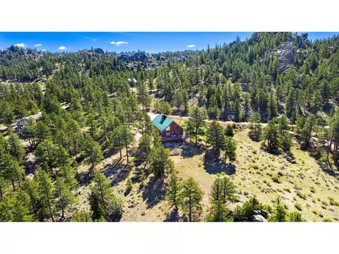 313 Castle Mountain Dr, Livermore, CO 80536