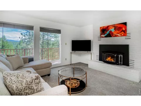 Living - 11744 S Stallion Dr, Pine, CO 80470 photo 1 of 3