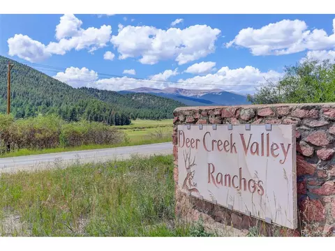 113 Bad Bandit Ct, Bailey, CO 80421 photo 26