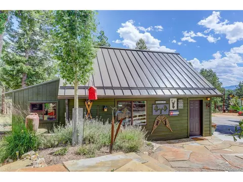 113 Bad Bandit Ct, Bailey, CO 80421 photo 24