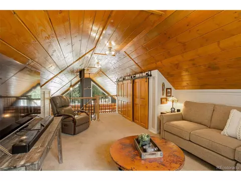 113 Bad Bandit Ct, Bailey, CO 80421 photo 21