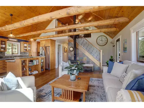 113 Bad Bandit Ct, Bailey, CO 80421 photo 10