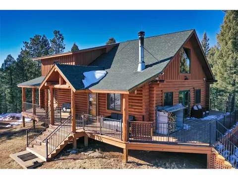 426 Black Bear Dr, Divide, CO 80814
