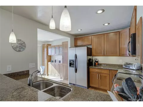 9384 Meredith Ct, Lone Tree, CO 80124 photo 18