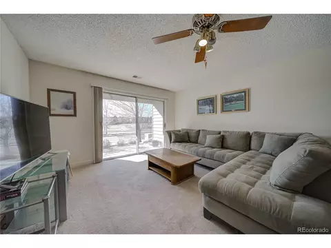 9384 Meredith Ct, Lone Tree, CO 80124 photo 25