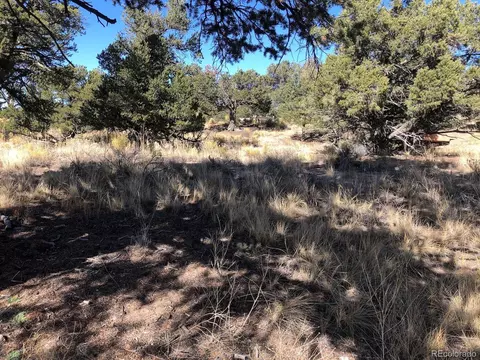 1485 Badger Rd, Crestone, CO 81131 photo 3