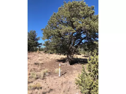 1485 Badger Rd, Crestone, CO 81131 photo 8